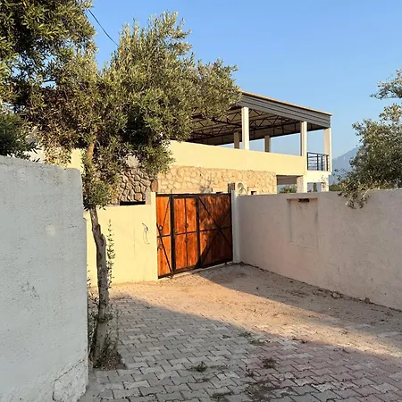 Belgravia * フェティエ